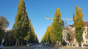 Escolham uma cidade berlim hamburgo colônia frankfurt am main essen estugarda dortmund düsseldorf bremen hanôver leipzig duisburgo. Leopoldstrasse Uma Das Ruas Mais Charmosas Destino Munique