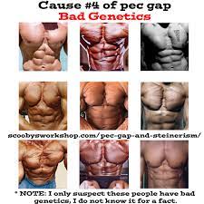 Pec Gap And Steinerism Scooby S Home Workouts Wide shoulders are more square than round, and sometimes have a bony protrusion. pec gap and steinerism scooby s home