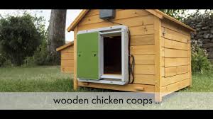 How to build a chicken run. Universal Automatic Chicken Coop Door Omlet Youtube