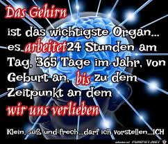 Funpot.net is 1 decade 5 months old. Lustiges Bild Gehirn Jpg Eine Von 25311 Dateien In Der Kategorie Klasse Spruche Und Witze Auf Funpot Quotes Humor Funny