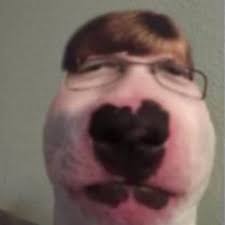 Wait did you just say callmecarson, the man with over 5 million subscribers in both of his channels, small? Callmecarson S Stream