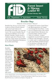 We did not find results for: Pdf Boxelder Bugs