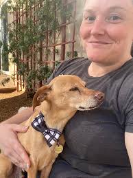 Rye is easy peezy in the car!