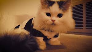 EXTREMELY DANGEROUS INMATE ESCAPES