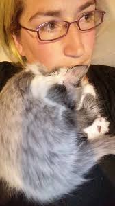 By royal proclamation, the Dutchess Claudia asks that all kitties be given  cans of tuna to celebrate HRH's 11th birthday 🎂. It is also the 6th  birthday of HRH Princess Robin the