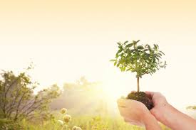 Sophistiplate llc spring & summer 2021 catalog and pricelist published on dec 23, 2020by vega. Upcoming Events Jewish Federation Nepa