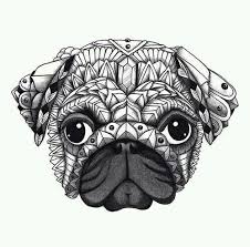 Lazy patrick in spongebob printable s1bf8e. 61 Coloring Pugs Ideas Pugs Coloring Pages Dog Coloring Page