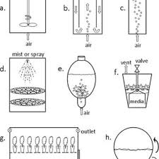 Check spelling or type a new query. Pdf Bench To Batch Advances In Plant Cell Culture For Producing Useful Products