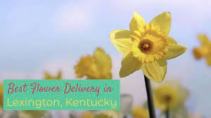 High quality and creative arrangements designed to meet all level's needs. The 5 Shops For The Best Flower Delivery In Lexington Kentucky 2021
