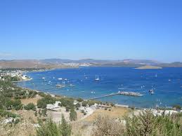 Download the perfect camel pictures. Welcome To Kargi Bay Aka Camel Beach Bodrum Travel Guide Turkey
