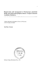 Image result for Pandiaka welwitschii