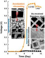 15pc stackable stainless steel bowls with lid food storage kitchen spoons set. Microbial Fuel Cells With Enhanced Bacterial Catalytic Activity And Stability Using 3d Nanoporous Stainless Steel Anode Sciencedirect