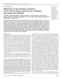 Se continuar selecionando um item. Pdf Mechanism Of The Allosteric Activation Of The Clpp Protease Machinery By Substrates And Active Site Inhibitors