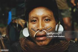 30 Culture Matis Stock Photos, High-Res Pictures, and Images