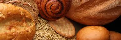 Gluten Encyclo Ecolo Com L Encyclopedie Ecologique