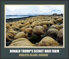 Norsk Arv Genealogy and More!