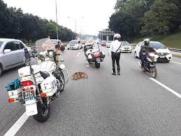 Map and directions to the location with picture. Shah Alam Cop Diverts Busy Morning Traffic To Save Dog