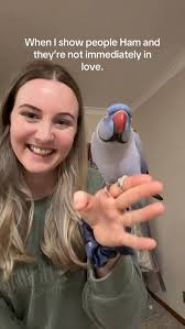 Bridget Chant (@bridgetchant) • Instagram photos and videos