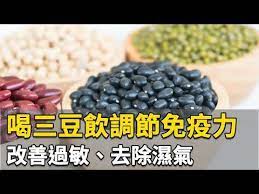 喝三豆飲調節免疫力改善過敏 去除濕氣 林貴中醫師 311 中醫知識cool youtube 健康 豆 免疫力