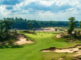 A view of hole #15 at congaree golf club (russell kirk). Streamsong Black Congaree Are Golf Digest S Best New Courses For 2018 Courses Golf Digest