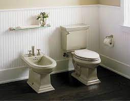 Add A Bidet To Customize Your Bathroom Bidet Toilet Seats Toilet And Bathroom Design Bidet Bathroom Bathroom Spray