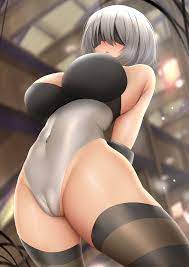 Nier 2b r34