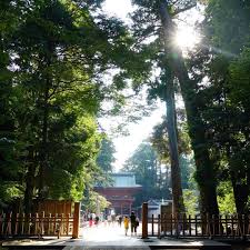 sumireさんはinstagramを利用しています 日差しが強く汗をふきふきたどり着いた鹿島神宮 大鳥居をくぐり 朱色の楼門を通り 拝殿を参拝しました 本殿へと向かう参道は 樹々で覆われ ヒグラシが鳴き 涼しい風が吹き 気持ち良かったです 茨城県 鹿島神宮