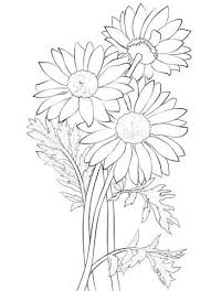 Daisy Coloring Page Free Printable Coloring Pages Printable Flower Coloring Pages Flower Coloring Pages Coloring Pages