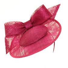Pink Paradox Frill Wedding Shoe Crystal Bridal Accessories Fascinator Hats Fascinator Hats Diy Fancy Hats