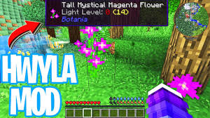 Ten en cuenta que, si bien no puedes instalar mods en windows 10 o en las ediciones para consola de minecraft, tanto la edición java como la pocket edition son . Como Instalar Mods No Minecraft Os Melhores Mods Voce Encontra Aqui