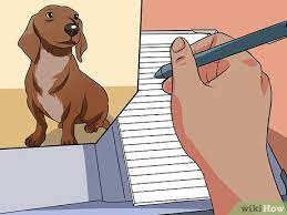 Crate training means that you allot a large cage, dog bed, carrier, or even a small space in your apartment where your dog can feel safe. 3 Ways To Keep A Dog In An Apartment Wikihow Pet