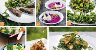Je Cuisine Les Plantes Sauvages Recettes De Cuisine Cuisine Sauvage Cuisine