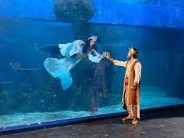 Harga tiket masuk objek wisata dikelompokan berdasarkan area. Best Aquarium Show In Jakarta Review Of Jakarta Aquarium Jakarta Indonesia Tripadvisor