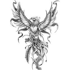 In general, the story goes that the bird lives for 1000 years (or 500) at a time. Phoenix Tattoo Design Phoenix Bird Tattoos Phoenix Tattoo Phoenix Tattoo Design
