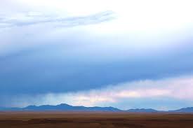 Invitation to care for subtle process: Services Ines Guariguata