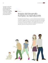 Viernes, 27 de marzo de 2015. Etapas Del Desarrollo Humano La Reproduccion Bloque I Tema 2 Apoyo Primaria