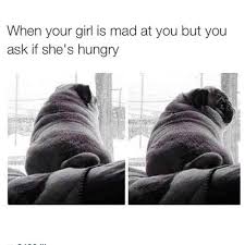 Find gifs with the latest and newest hashtags! Will Pizza Fix This Problem Funny Pictures Pugs Just For Laughs