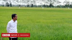 Logo ini biasanya ada ketika kamu beli produk kecantikan dan kosmetik yang berlabel vegan. Food Estate Proyek Lumbung Pangan Di Hutan Lindung Pegiat Lingkungan Peringatkan Bencana Dan Konflik Dengan Masyarakat Adat Tidak Terhindarkan Bbc News Indonesia