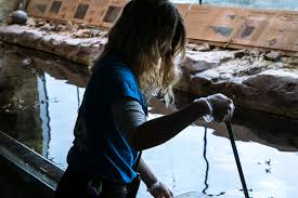 We did not find results for: So You Want To Become A Marine Biologist National Marine Aquarium