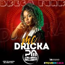 The genre is generally characterized by the mixture of heavy bass production and aggressive beats, present in most modern funk carioca with the eccentric and dancing. Cds Para Baixar Baixar Cd Mc Dricka Brega Funk 2020