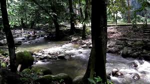 Kamar musafir@masjid pangsun, kuala lumpur'a 34 km, putrajaya'ya ise 50 km uz… Sungai Congkak Recreational Forest Chongkak Park And Resort