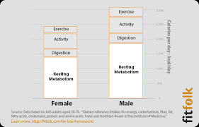 average basal energy expenditure bee basal metabolic rate