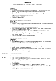 Route Sales Representative Resume Samples Velvet Jobs
