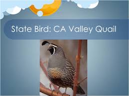 Maybe you would like to learn more about one of these? Ppt California State Symbols Powerpoint Presentation Free Download Id 2218188