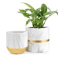 Tulipa white ceramic flower pot. Amazon Com Homenote White Ceramic Flower Pot Garden Planters 6 Pack 2 Indoor Plant Containers With Marble Ceramic Flower Pots White Flower Pot Flower Pots