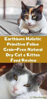 Earthborn Holistic Primitive Feline Grain Free Natural Dry Cat Kitten Food Review Oliveknows Kitten Food Cats Best Cat Food
