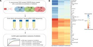 Image result for Penicillin Resistant Pneumococcus