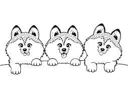 Disegno Di 3 Cuccioli Da Colorare Stampare O Scaricare Colora