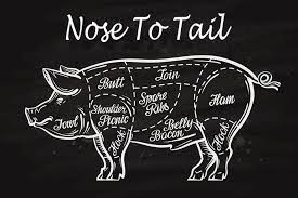 Image result for root-tail