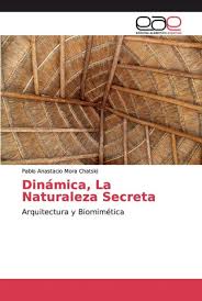 Dinámica, La Naturaleza Secreta by Pablo Anastacio Mora Chatski, Paperback  | Barnes & Noble®
